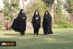 همایش پیاده روی
 4