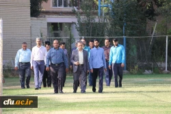 همایش پیاده روی
 5