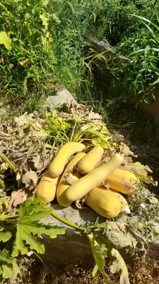 بازدید از مدرسه هوشمند سراج فرهیختگان تهران 7