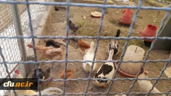 بازدید از مدرسه هوشمند سراج فرهیختگان تهران 8