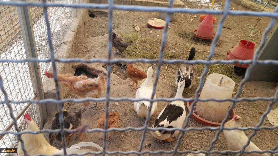 بازدید از مدرسه هوشمند سراج فرهیختگان تهران 8