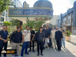 خادمان اربعین حسینی (ع)