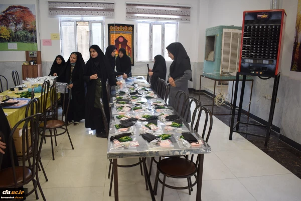 موکب شهدای تربیت معلم دانشگاه فرهنگیان کرمانشاه در مسیر کربلای معلی 2