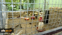 تورهای تعالی و توسعه دانشگاه پیوند دهنده ی ، ایده ها و تئوری ها با حوزه عمل و موقعیت های واقعی تعلیم و تربیت خواهد بود. 6