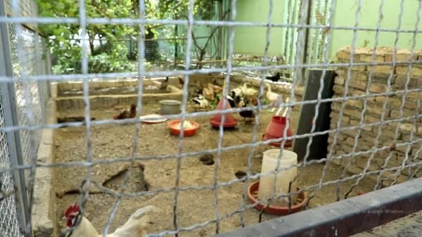 تورهای تعالی و توسعه دانشگاه پیوند دهنده ی ، ایده ها و تئوری ها با حوزه عمل و موقعیت های واقعی تعلیم و تربیت خواهد بود. 6