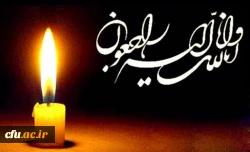 پیام تسلیت 2