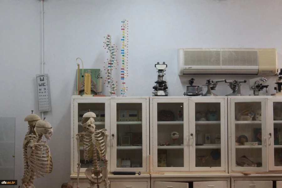 اقدامات انجام شده در حوزه رفاهی و آموزشی در زمینه بهسازی و تجهیز اماکن پردیس های استان بوشهر 24