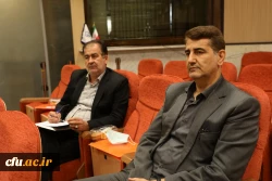 کمیته نظریه پردازی 11