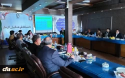 برگزاری جلسه هم اندیشی و کارگاه های تحلیلی سنجش عملکرد فعالیت های فرهنگی و اجتماعی در استان کرمان با حضور 6 استان 3