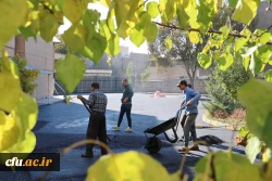 اجرای پروژه آسفالت محوطه پردیس بنت الهدی صدر قزوین 8