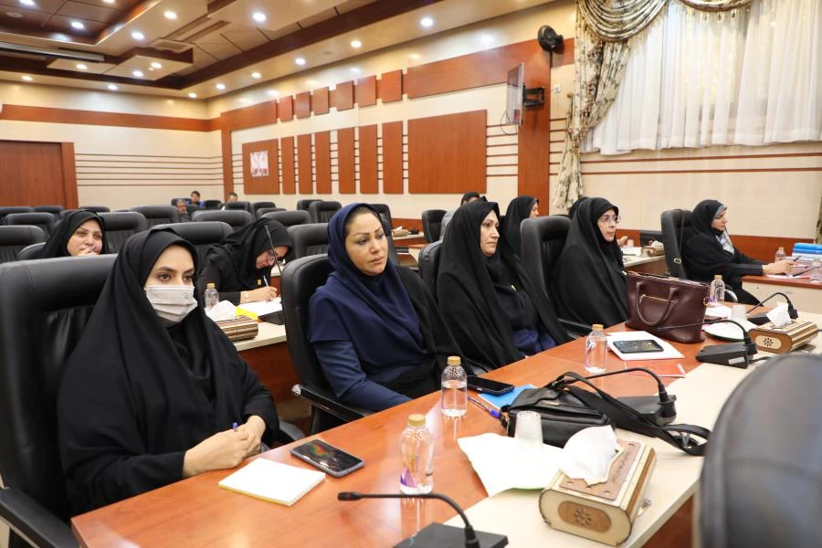 دوازدهمین نشست تخصصی کارشناسان معاونت نظارت،ارزیابی و تضمین کیفیت 15