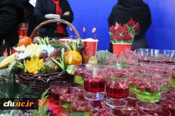 جشنواره شب یلدا به روایت تصویر 2