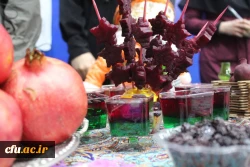 جشنواره شب یلدا به روایت تصویر 13