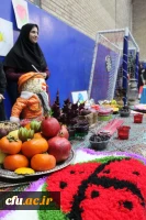 جشنواره شب یلدا به روایت تصویر 14