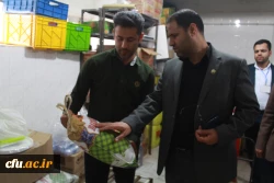 روایتِ سفرنامه بوشهر 4