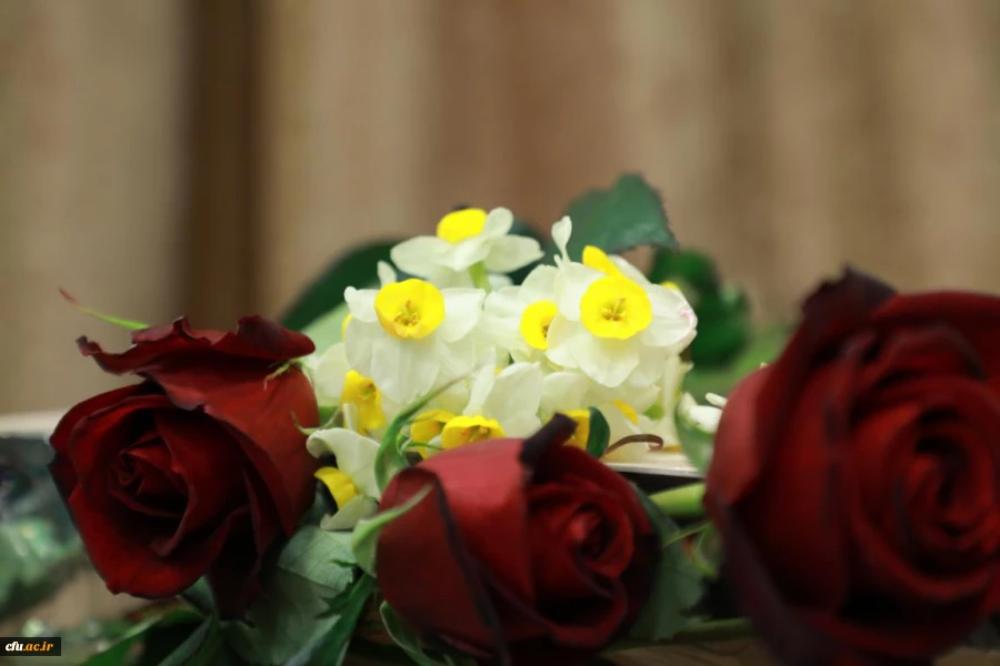 جشن میلاد حضرت فاطمه الزهرا(س) و گرامیداشت مقام مادر و زن 9