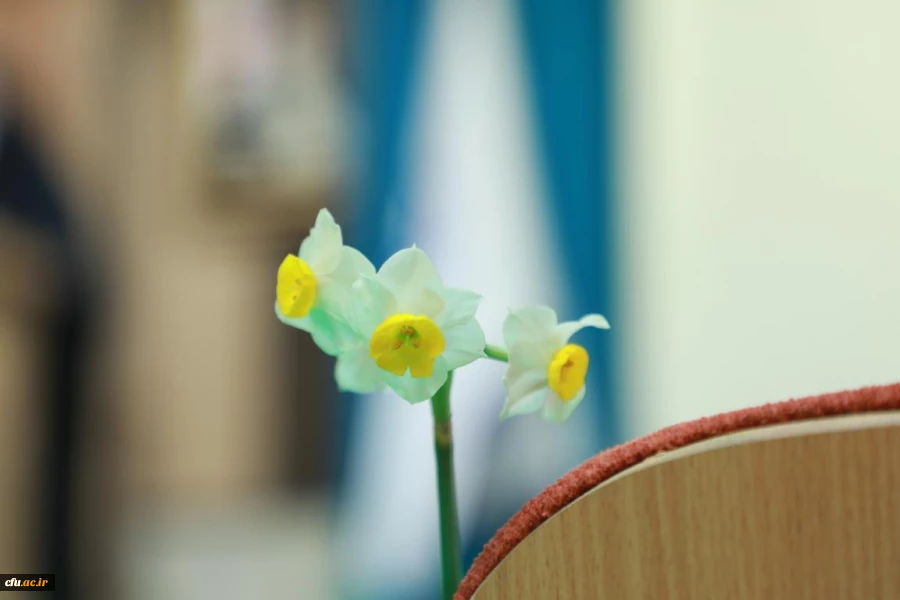 جشن میلاد حضرت فاطمه الزهرا(س) و گرامیداشت مقام مادر و زن 11