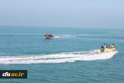 همایش پیاده روی صبحگاهی کارکنان دانشگاه فرهنگیان استان بوشهر 6