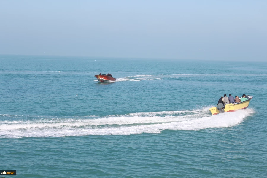 همایش پیاده روی صبحگاهی کارکنان دانشگاه فرهنگیان استان بوشهر 6