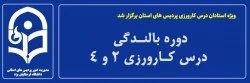 دوره بالندگی کارورزی 2 و 4
 2