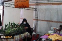 نخستین جشنواره دانشجویی اقوام دانشگاه های فرهنگیان سراسر کشور به روایت تصویر 8