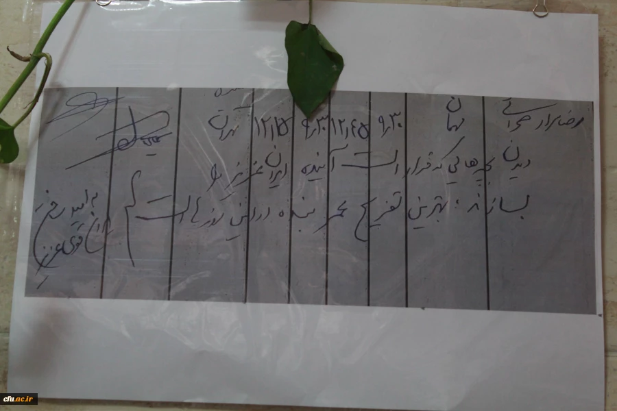 در دانشگاه فرهنگیان استان بوشهر؛
نمایشگاه عکس زیست دانشجویی برپا شد
 2