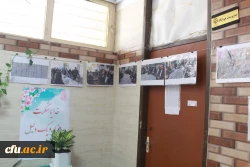 در دانشگاه فرهنگیان استان بوشهر؛
نمایشگاه عکس زیست دانشجویی برپا شد
 3