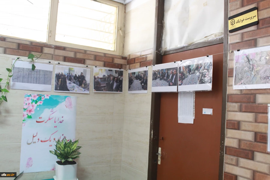 در دانشگاه فرهنگیان استان بوشهر؛
نمایشگاه عکس زیست دانشجویی برپا شد
 3