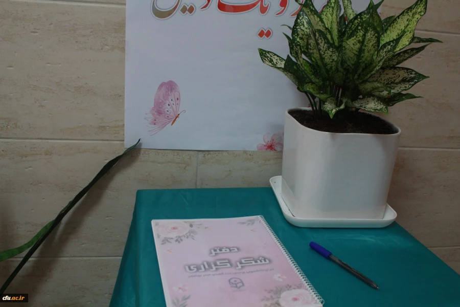 در دانشگاه فرهنگیان استان بوشهر؛
نمایشگاه عکس زیست دانشجویی برپا شد
 4