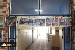 در دانشگاه فرهنگیان استان بوشهر؛
نمایشگاه عکس زیست دانشجویی برپا شد
 5