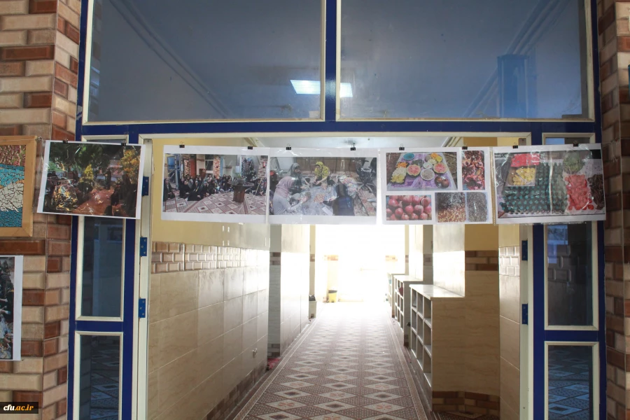 در دانشگاه فرهنگیان استان بوشهر؛
نمایشگاه عکس زیست دانشجویی برپا شد
 5