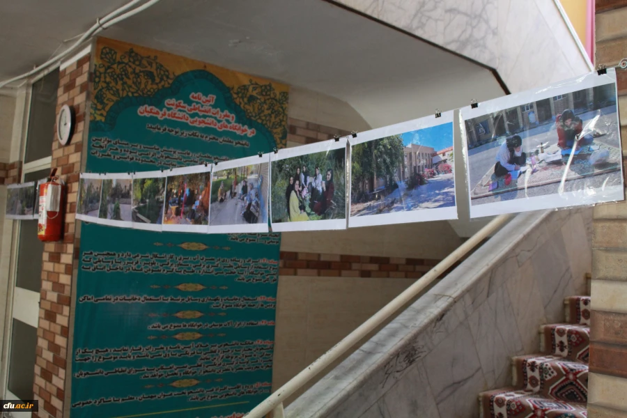 در دانشگاه فرهنگیان استان بوشهر؛
نمایشگاه عکس زیست دانشجویی برپا شد
 7