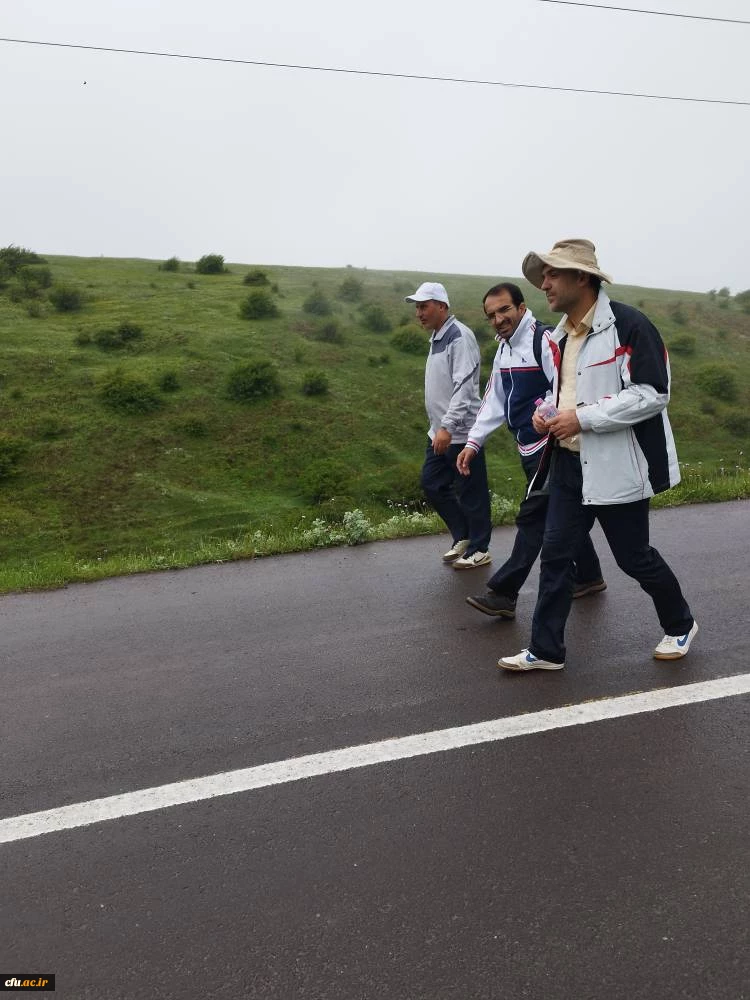 همایش پیاده روی یک روزه در مسیر جنگل فندقلو