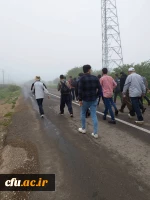 همایش پیاده روی یک روزه در مسیر جنگل فندقلو