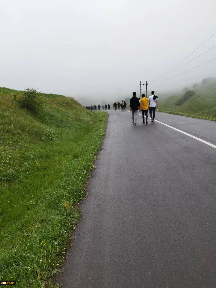 همایش پیاده روی یک روزه در مسیر جنگل فندقلو