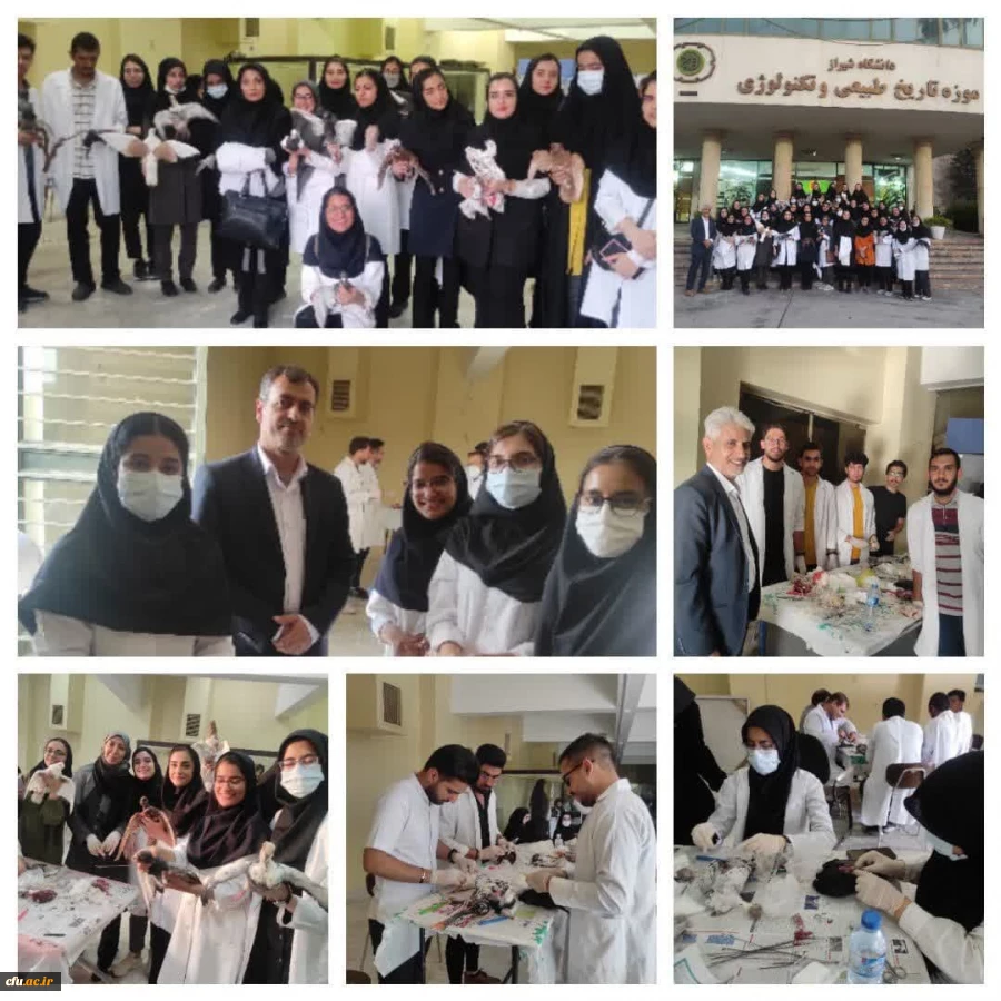 برگزاری کارگاه تاکسیدرمی در موزه تاریخ طبیعی و تکنولوژی شیراز
 2