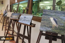 نمایشگاه و کارگاه تنوع زیستی در پردیس باهنر استان اصفهان 
 3