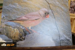 نمایشگاه و کارگاه تنوع زیستی در پردیس باهنر استان اصفهان 
 5