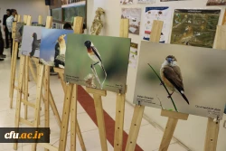 نمایشگاه و کارگاه تنوع زیستی در پردیس باهنر استان اصفهان 
 7