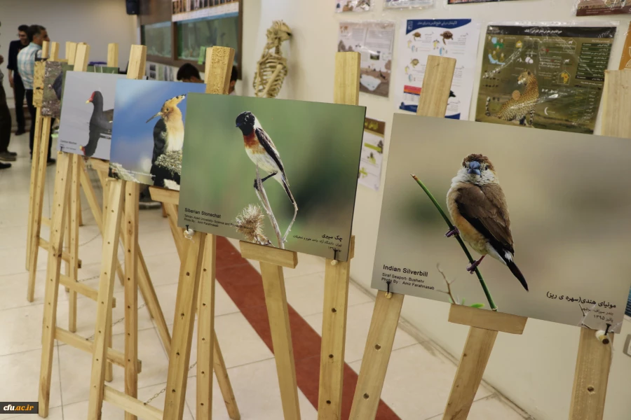 نمایشگاه و کارگاه تنوع زیستی در پردیس باهنر استان اصفهان 
 7