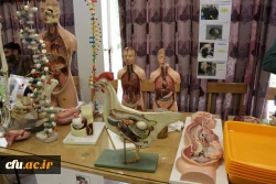 نمایشگاه و کارگاه تنوع زیستی در پردیس باهنر استان اصفهان 
 8