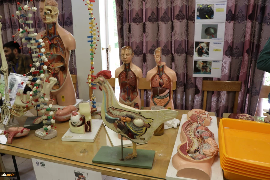 نمایشگاه و کارگاه تنوع زیستی در پردیس باهنر استان اصفهان 
 8