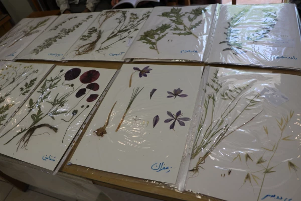 نمایشگاه و کارگاه تنوع زیستی در پردیس باهنر استان اصفهان 
 11