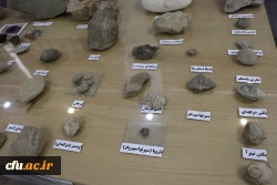 نمایشگاه و کارگاه تنوع زیستی در پردیس باهنر استان اصفهان 
 12