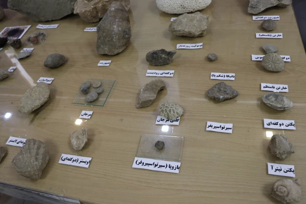 نمایشگاه و کارگاه تنوع زیستی در پردیس باهنر استان اصفهان 
 12