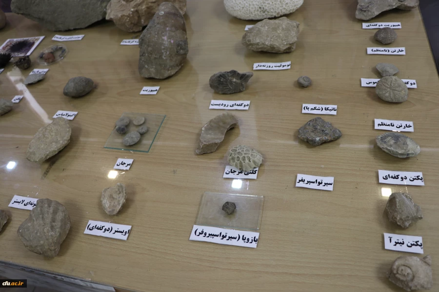 نمایشگاه و کارگاه تنوع زیستی در پردیس باهنر استان اصفهان 
 12