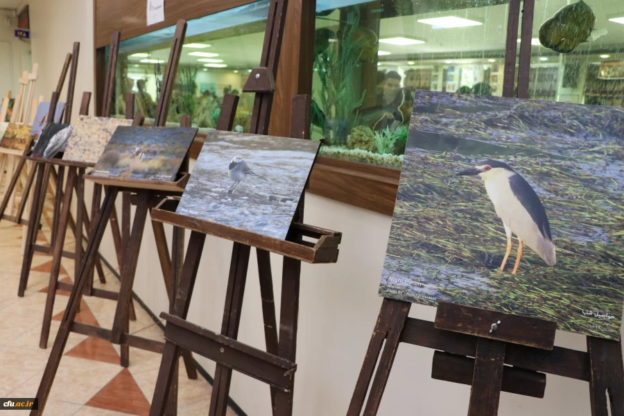 همایش روز جهانی تنوع زیستی 6