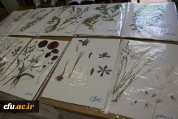 همایش روز جهانی تنوع زیستی 11