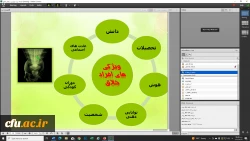 دوره آموزشی نوجویی و تفکر خلاق
 4