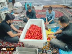 بازدید سرپرست و مسئول نهاد نمایندگی مقام معظم رهبری در سازمان مرکزی دانشگاه فرهنگیان از موکب شهدای تربیت معلم کرمانشاه 10